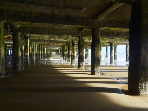Concrete Pier Repair in Winter Park
